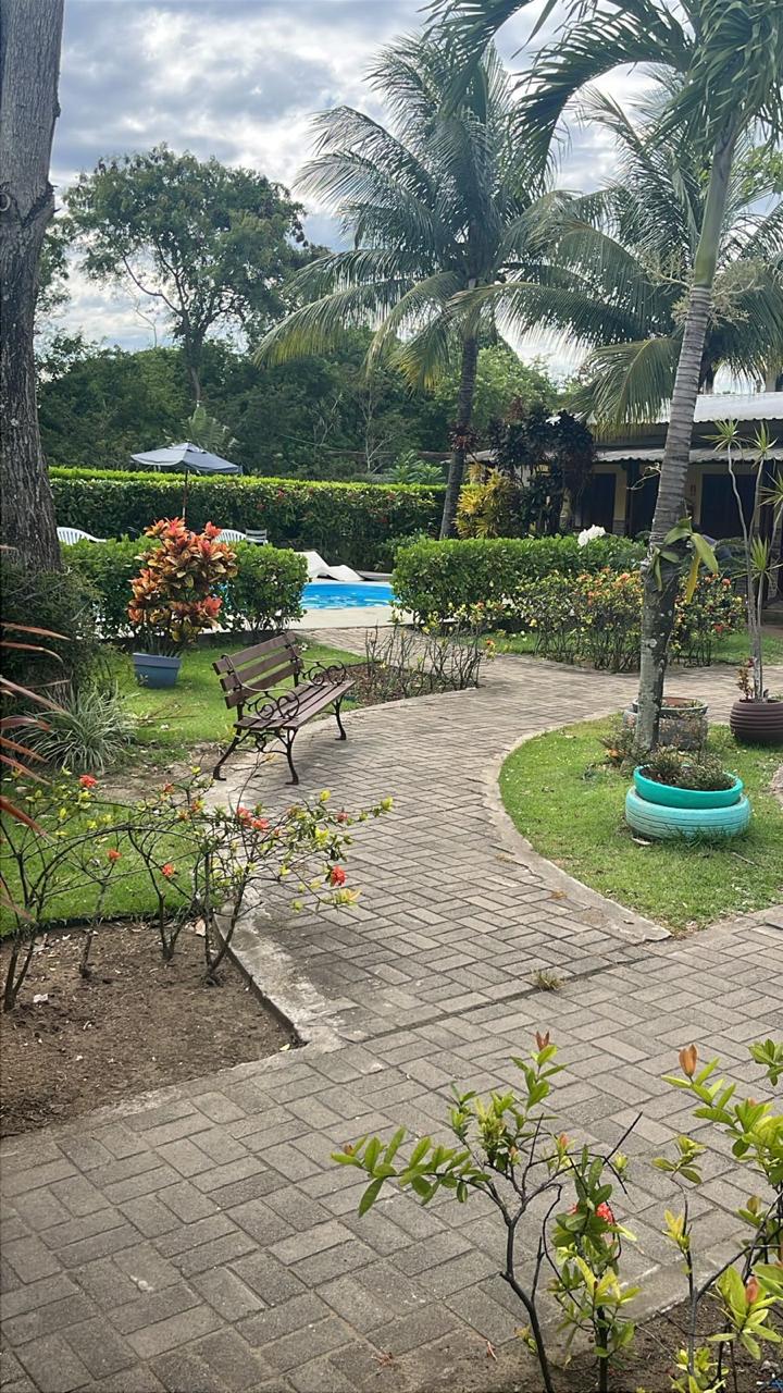 Jardim com vista para a piscina