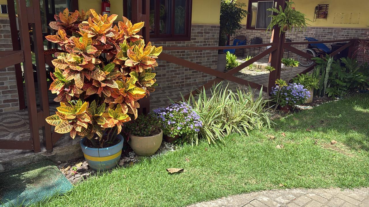Varanda com plantas